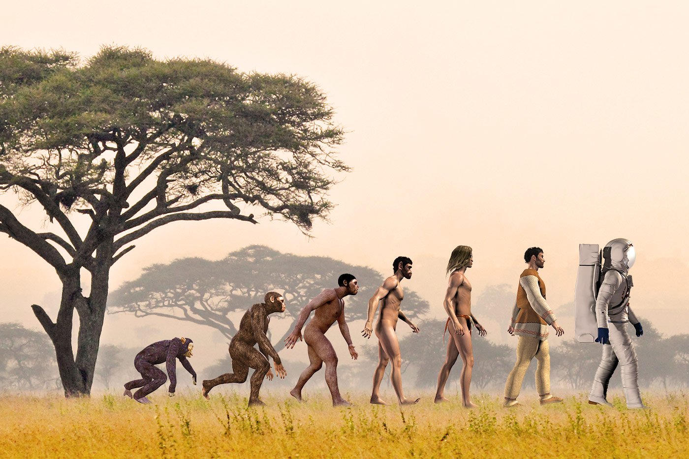 Male Evolution The Story of You-man Evolution - Project Indra