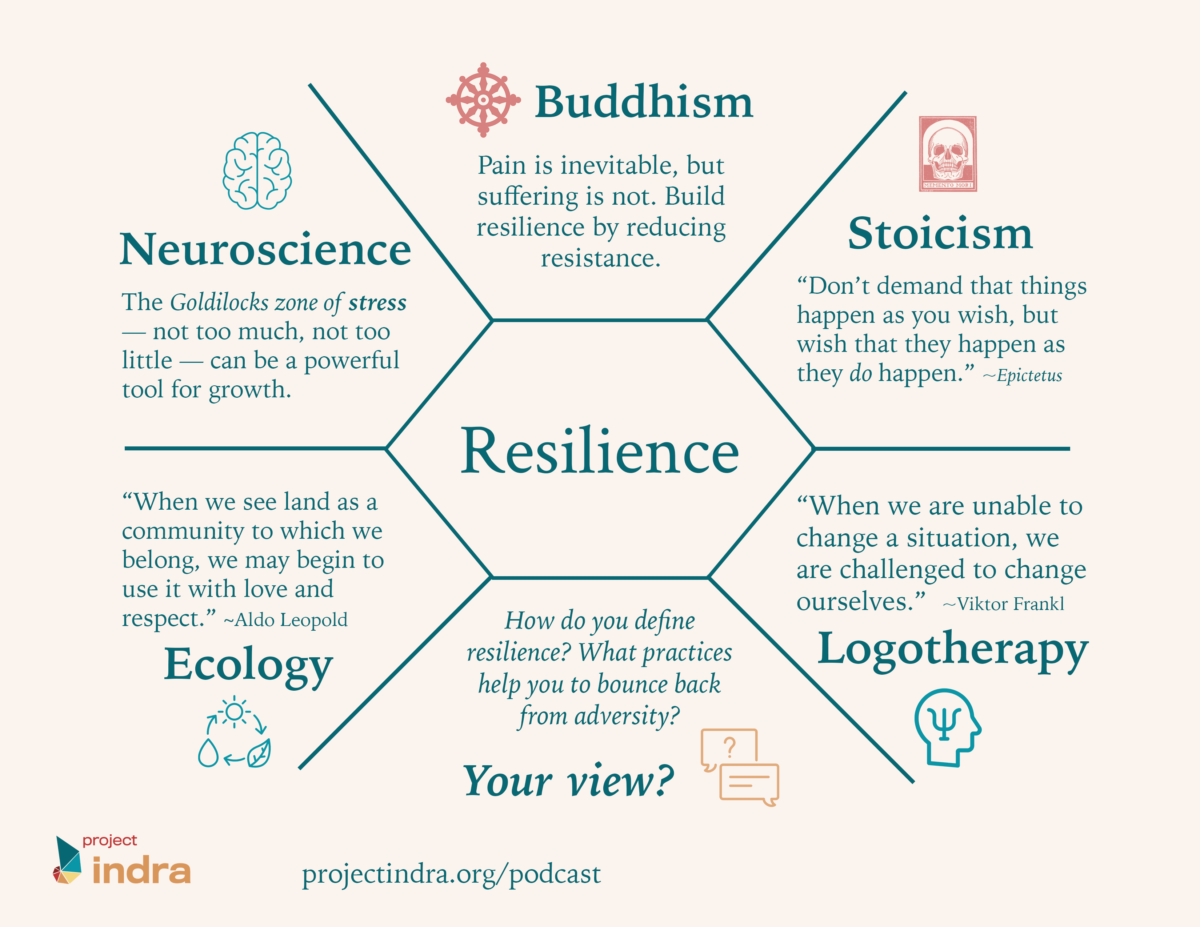 Project Indra podcast Episode 7 - resilience summary