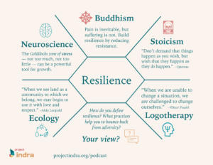 Project Indra podcast Episode 7 - resilience summary