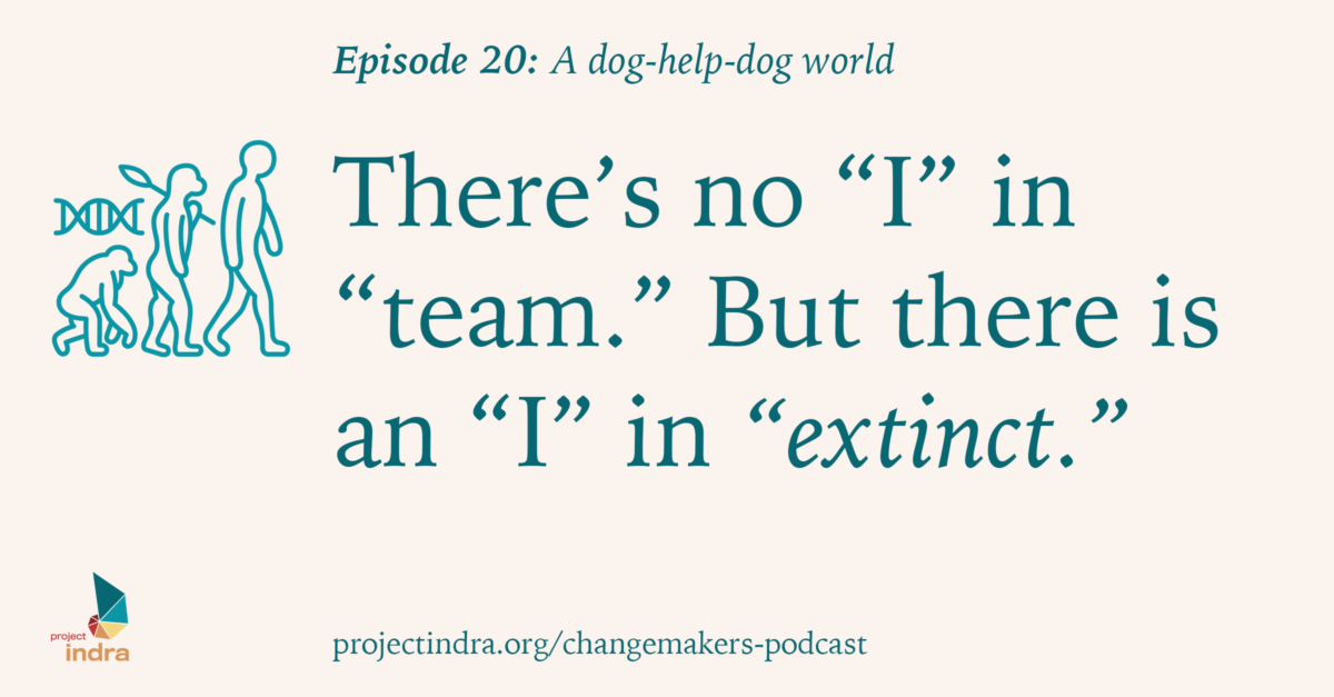Changemakers Field Guide Episode 20: A dog-help-dog world. There's no "I" in team. But there is an "I" in extinct.