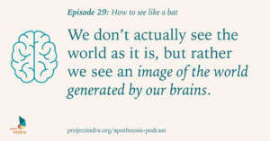 Apotheosis episode 29: How to see like a bat. We don't actually see the world as it is, but rather we see an image of the world generated by our brains.