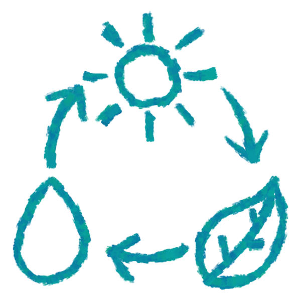 icon for ecology, with hand sketched image of a cycle between the sun, water, and plants