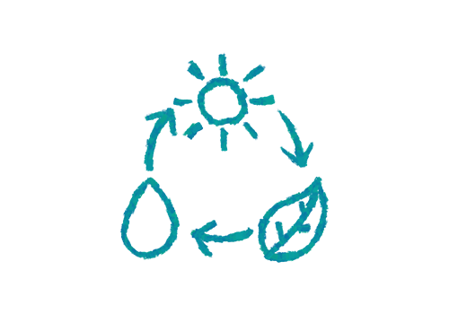 icon for ecology, with hand sketched image of a cycle between the sun, water, and plants