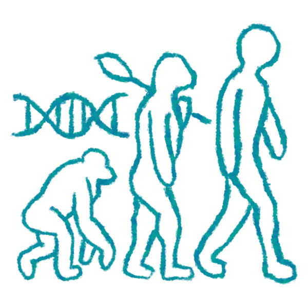 icon for evolutionary sciences, with hand sketched image of evolution from primate to human, with DNA spiral