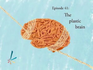 Apotheosis episode 41: The plastic brain. Illustration of a human brain with ropes tied at either end, stretching it out. Project Indra logo mark in bottom left corner.
